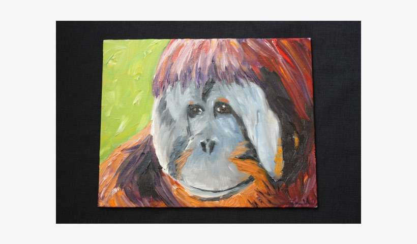 9 May - Orangutan, transparent png download