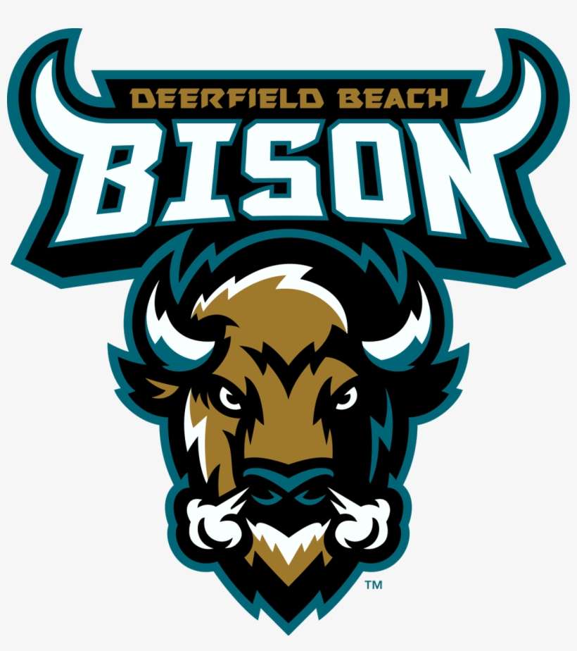 Thank You @miamidolphins For Spending Your Day In - Deerfield Beach Bison Football, transparent png download