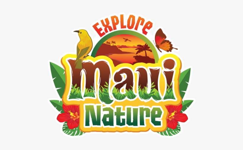 Maui Birding, transparent png download