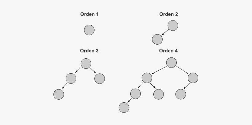 Arbolfibo - Orden De Un Arbol, transparent png download