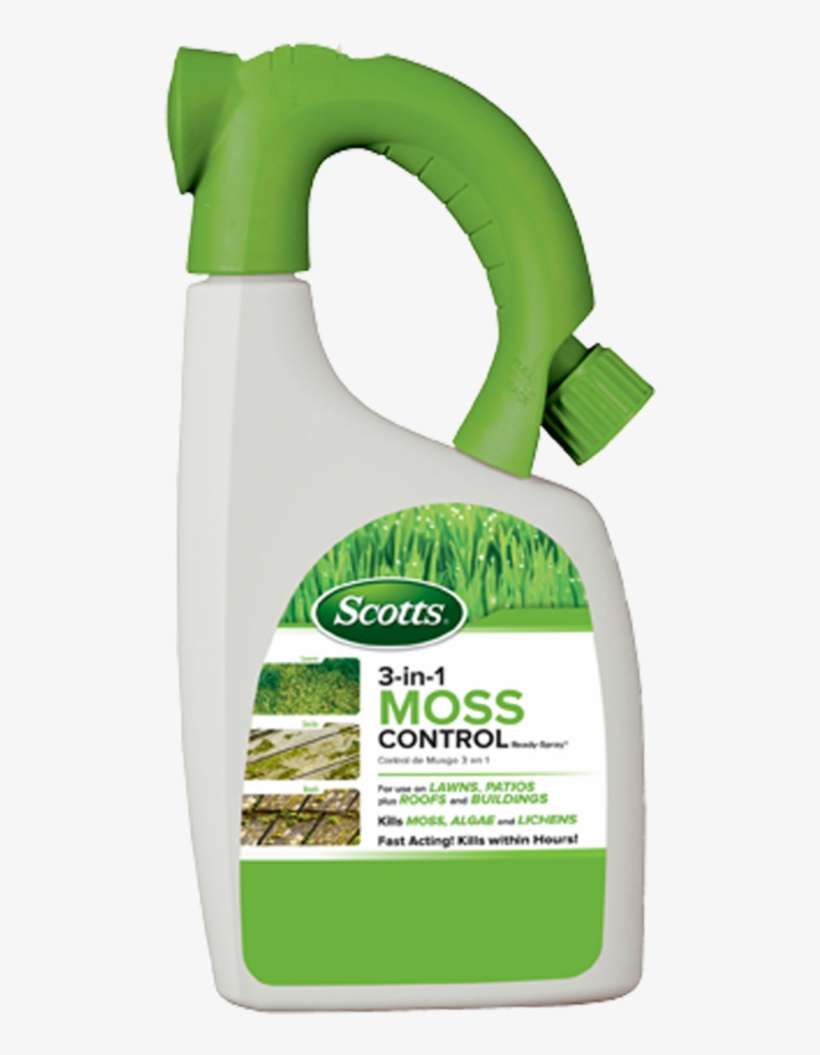 Prevnext - Moss Spray, transparent png download