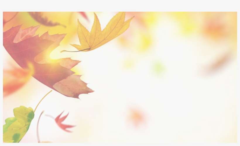 A Pesar De No Tener Una Carrera - Filled With Thankfulness: Songs Of Worship And Praise, transparent png download