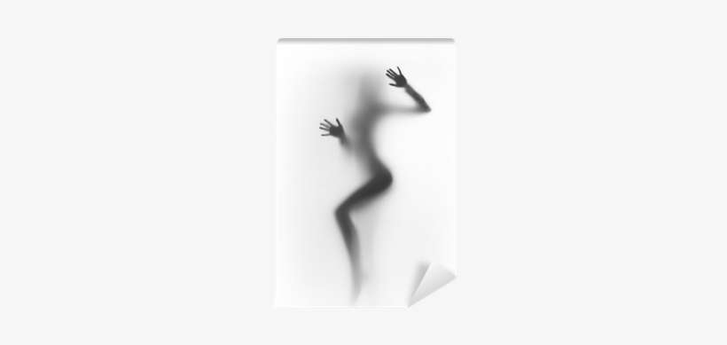 Beautiful And Sexy Dancer Woman Silhouette Wall Mural - Seduction Enigma: How To Attract Super Hot Women, Super, transparent png download