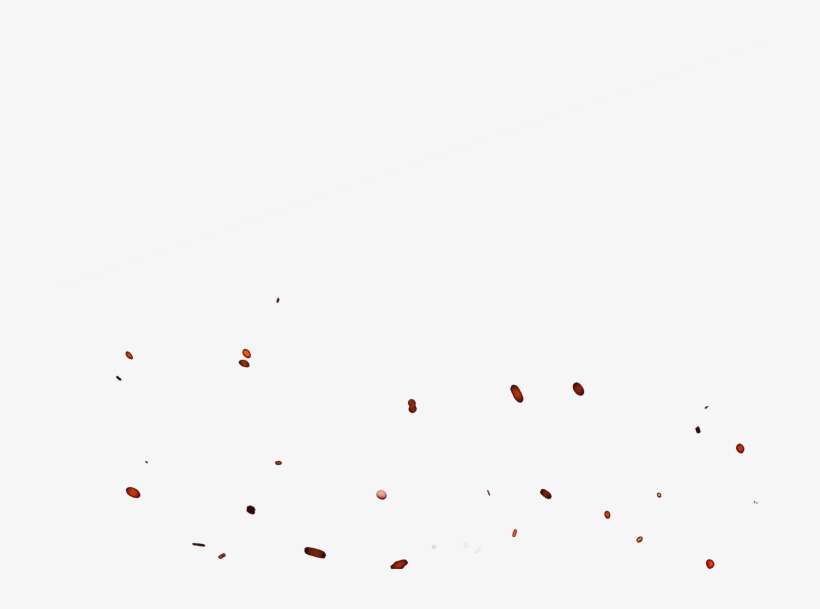 Embers Png Transparent - Bird, transparent png download