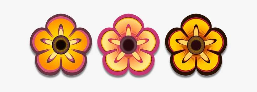 Bloom, Colorful, Flower, Petals, Plant - Surfboard Flower, transparent png download