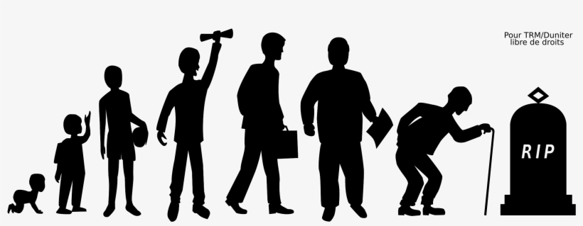 This Free Icons Png Design Of Life, transparent png download