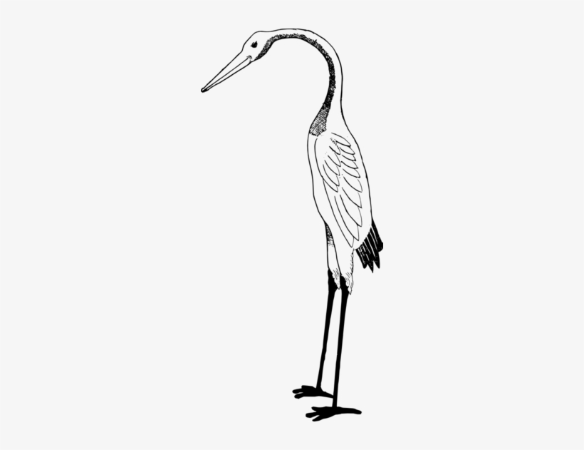 Stork - Stork Clipart White And Black, transparent png download
