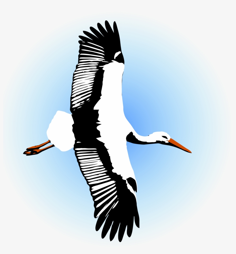 Big Image - Portable Network Graphics, transparent png download