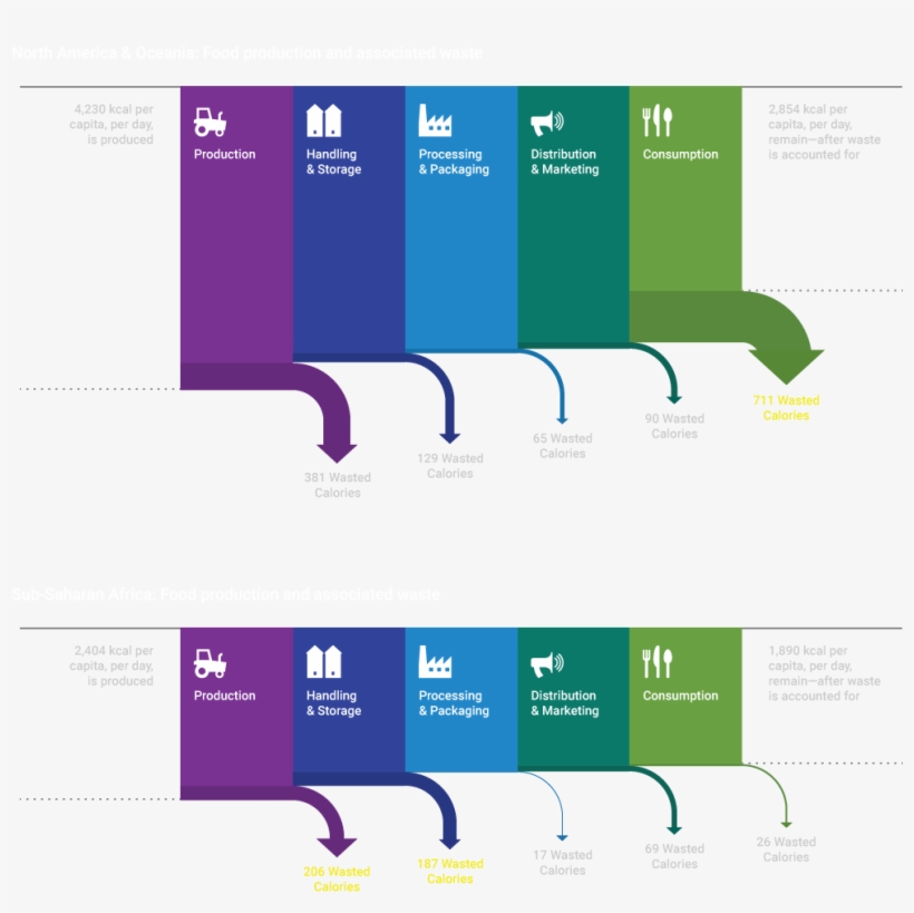 Two Stories Of Food Waste - Graphic Design, transparent png download