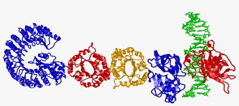 Google-doodle, transparent png download