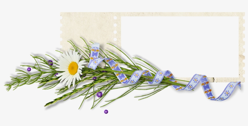 View Full Size - Anastasia Name Gif, transparent png download