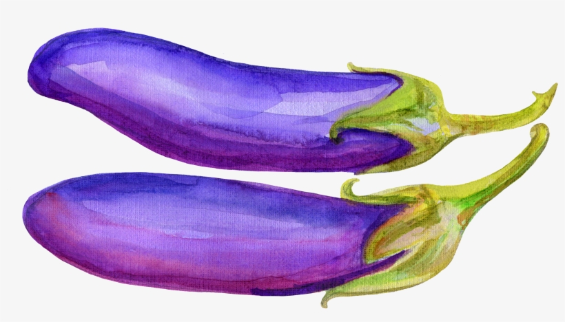 Svg Freeuse Library Vegetable Illustration Hand Painted - Eggplant, transparent png download