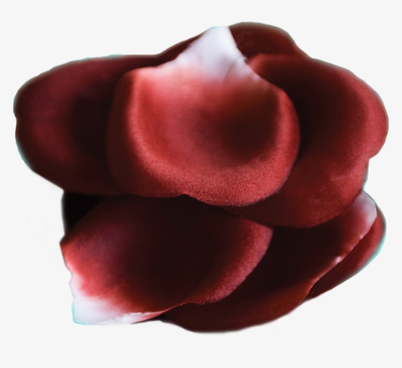 Bijoux Indiscrets Rose Petal Explosion, transparent png download