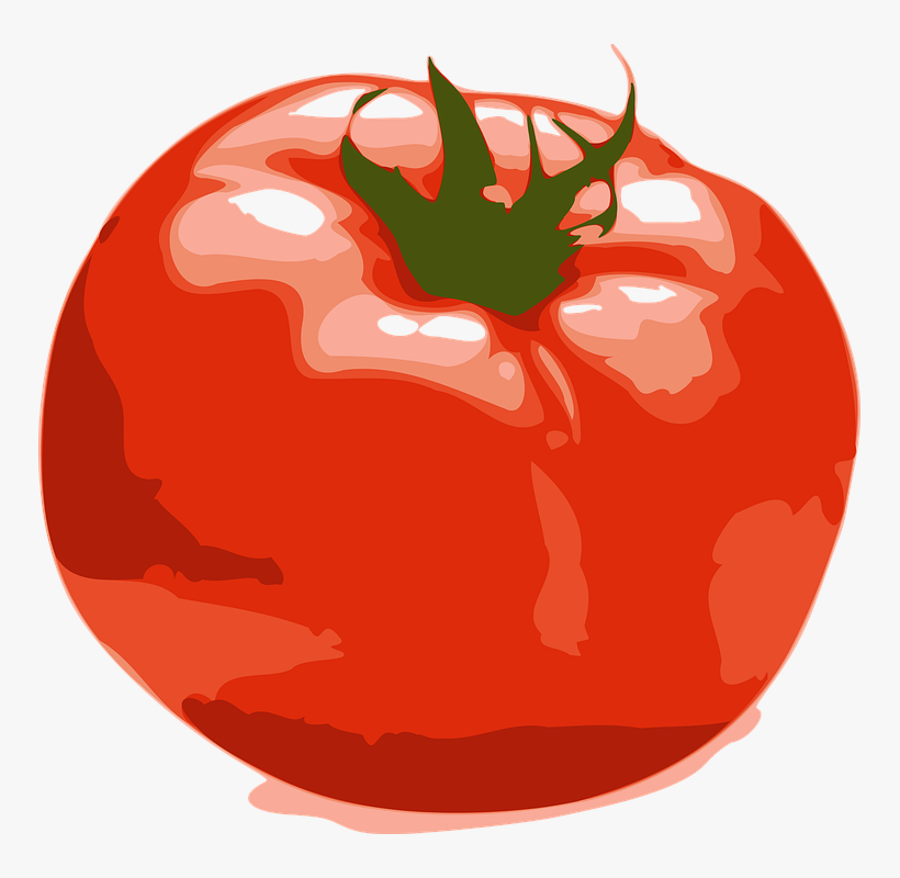 Fruit Vegetable Eggplant Drawing Fruit Vegetable Free - Tomato Png Clipart, transparent png download