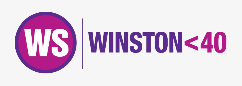 Winston Under - Bristol Bulldog Golden Age Biplane Scale 1:48, transparent png download