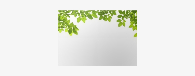 森林 邊框 設計, transparent png download