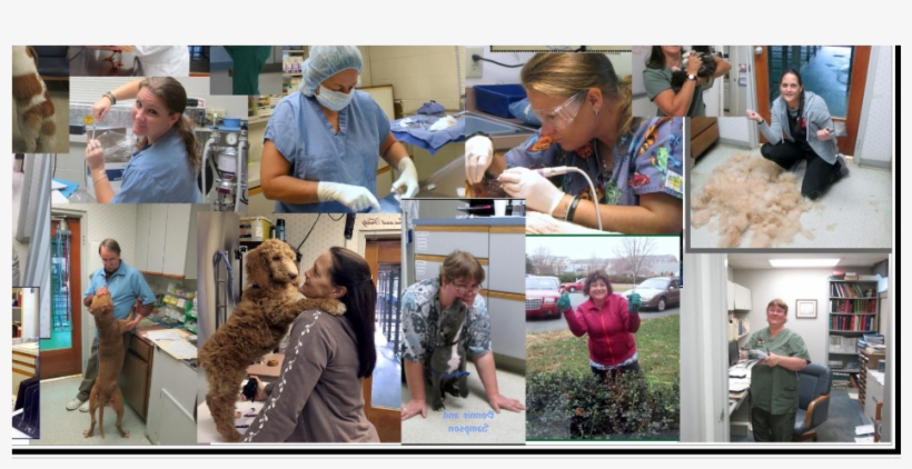 Senior Citizen, transparent png download