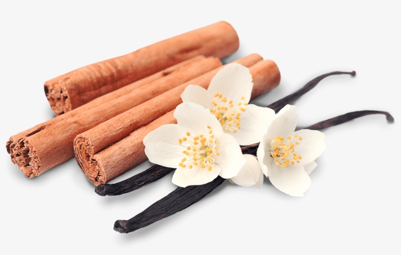 What Is An Herbal Tea - Vanilla Cinnamon, transparent png download