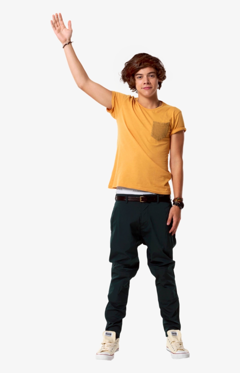 Louis His Boys My Life - Harry Styles Photoshoot, transparent png download