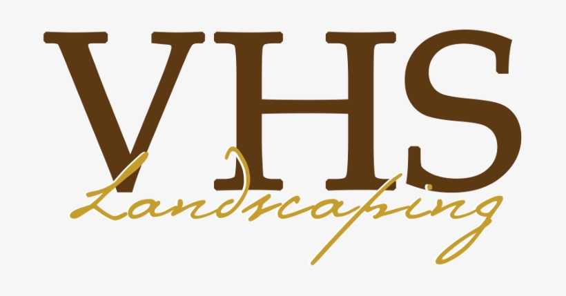 Random, transparent png download