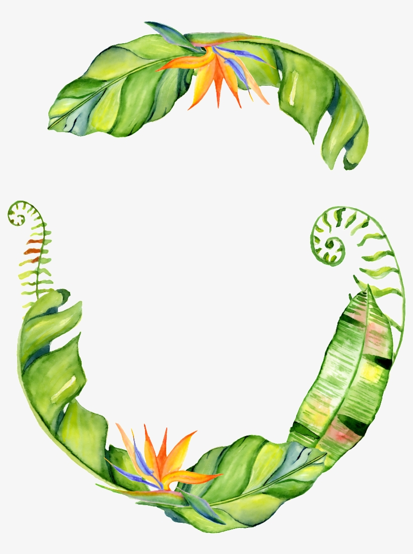 Hand Painted Three Banana Leaf Png Transparent - Tropische Palmblattwreath-brautparty-einladung Karte, transparent png download