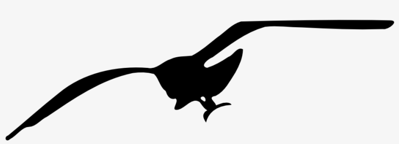 Clipart Seagull - Clip Art Seagull Png, transparent png download