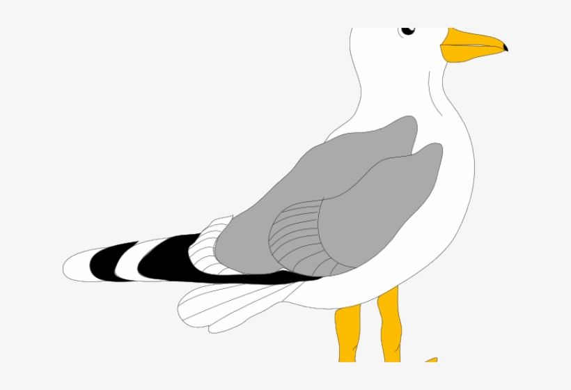 Seagull Clipart Cartoon - Bird Clip Art, transparent png download