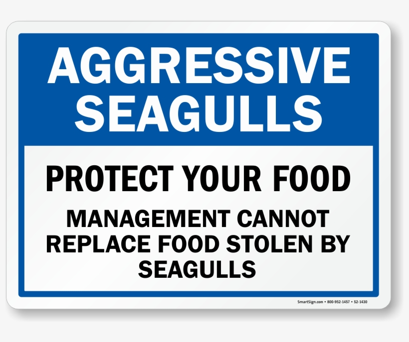 Zoom, Price, Buy - Dont Feed The Seagulls, transparent png download