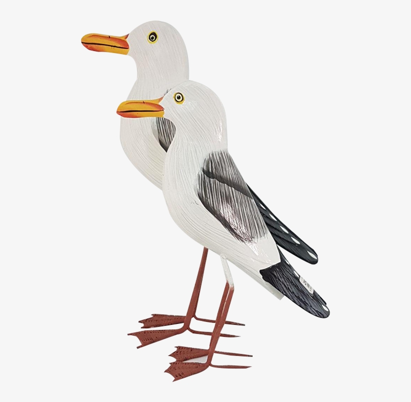 Seagull Large - Great Black-backed Gull, transparent png download