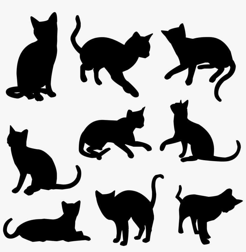 Big Image - Cat Silhouette, transparent png download
