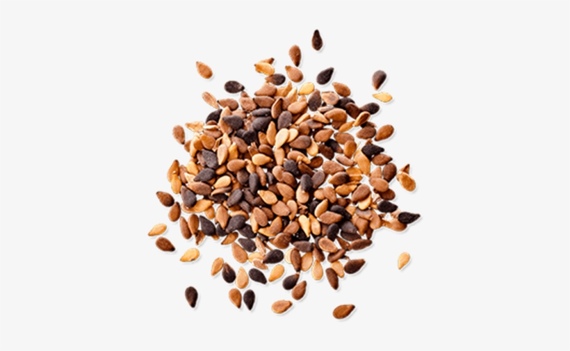 Sesame Seeds Png Pic - Seeds Png, transparent png download