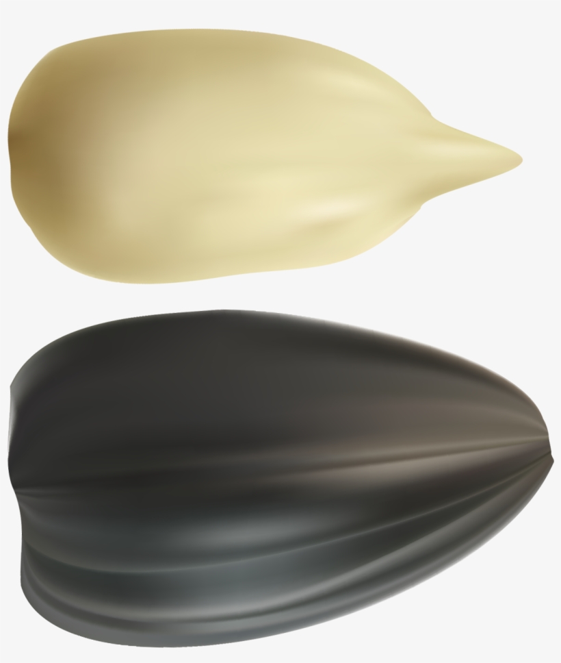 Sunflower Seeds Png - Sunflower Seeds Clipart Png, transparent png download