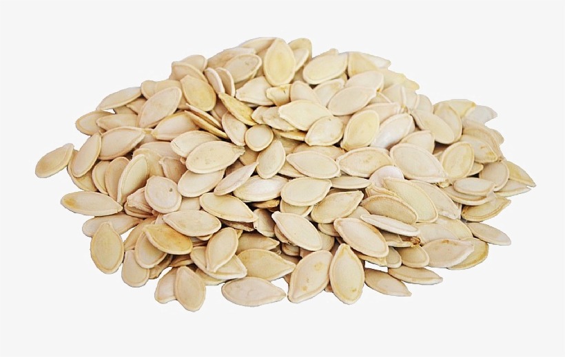 Banner Freeuse Stock Png Transparent Images All - کدو گوشتی, transparent png download