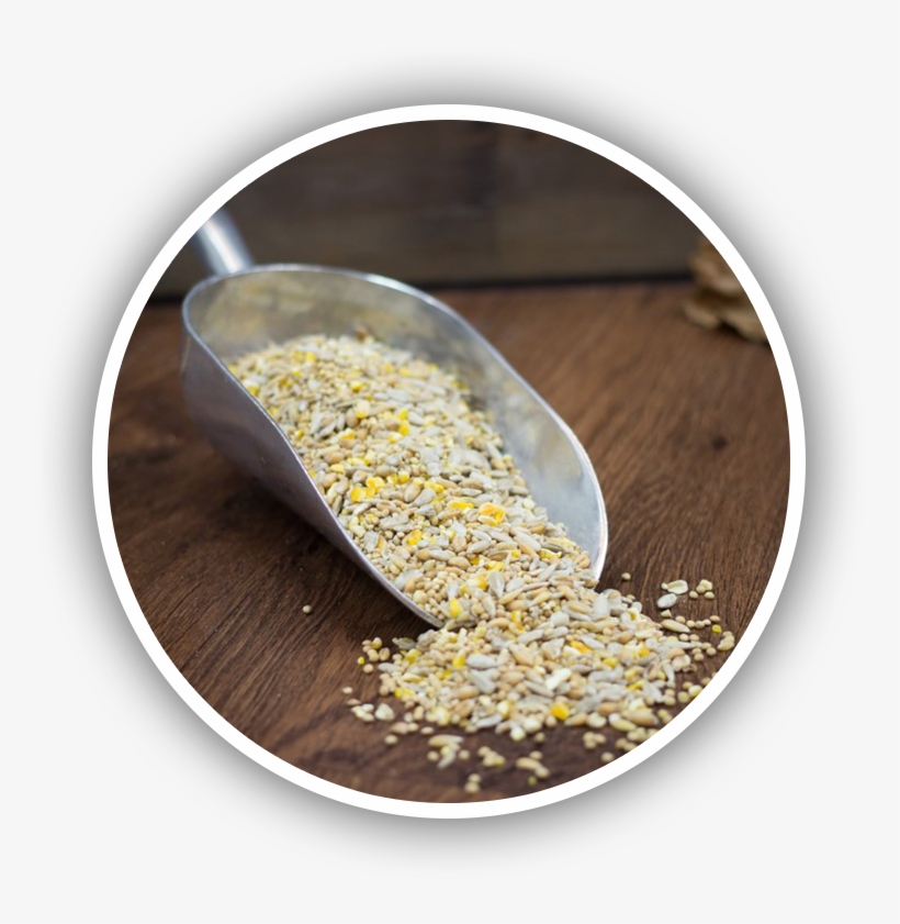 We Offer A Wide Range Of Premium Quality, Fresh, Nutritionally-balanced - Sesame, transparent png download