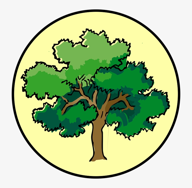 Tree-310207 960 720 - Tree Clipart Png, transparent png download