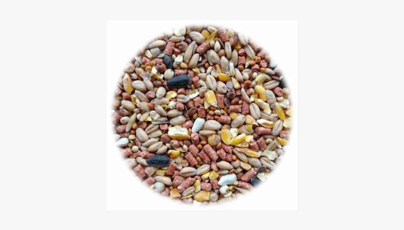 Red Comb 5kg Refill Pack - Pebble, transparent png download