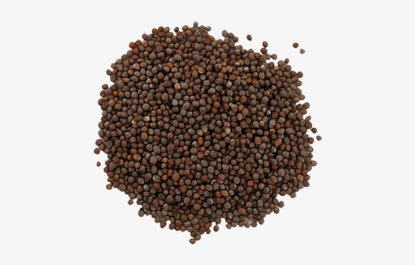 Organic Mustard Seed - Frontier Natural Products - Mustard Seed Brown Whole, transparent png download