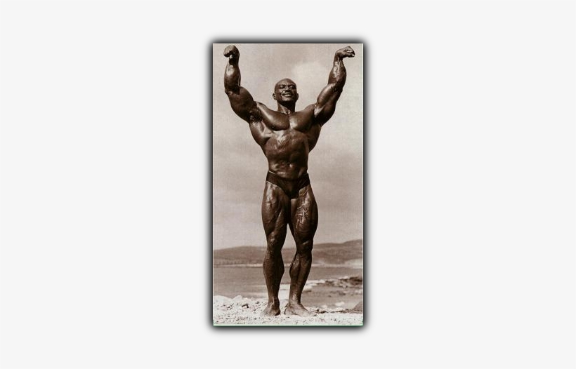 Did You Know That Sergio Oliva Was A Highly Ranked - Biscuit Oliva, transparent png download