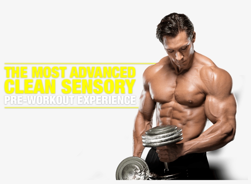 Muscle High Quality Png - Gym Muscle Png, transparent png download