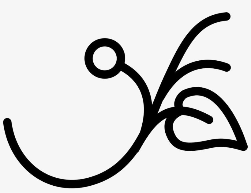 Branch With A Leaf And A Seed Comments - Leaf, transparent png download