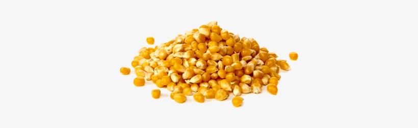 Maize - Raw Popcorn, transparent png download