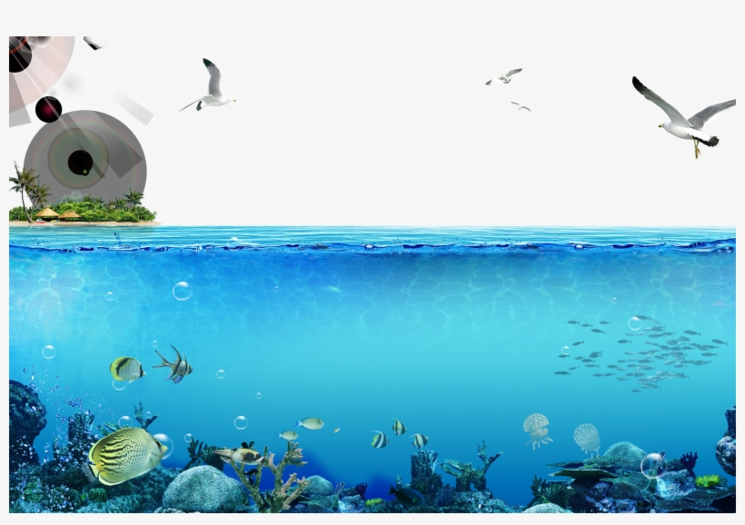 Clip Art Transparent Sea Vector Underwater - Apple Md Store Iphone 5 5c 5s Underwater Waterproof, transparent png download