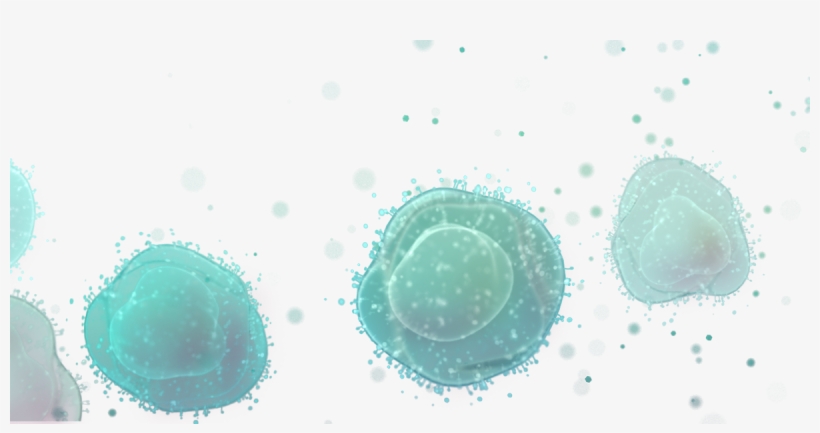Bubbles Midground-1200x576 - Circle, transparent png download