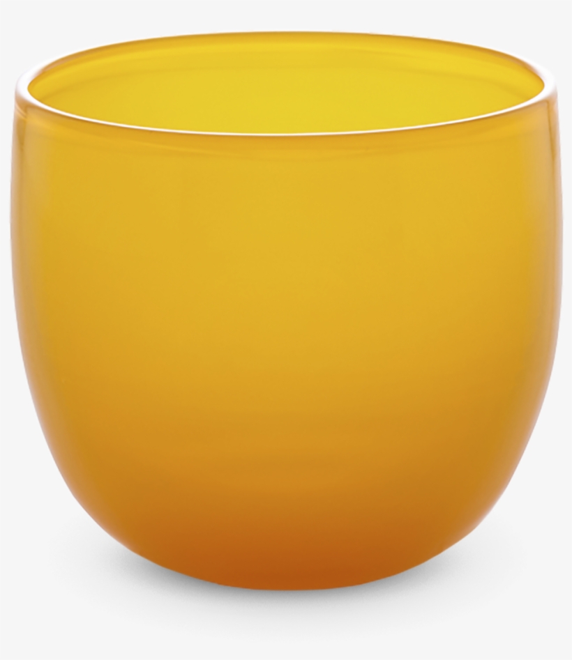 Mimosa - Flowerpot, transparent png download