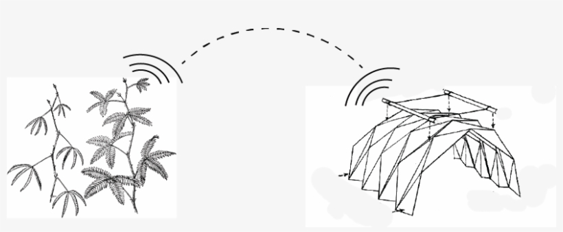 Data From The Mimosa Or Other “naturally Smart Thing” - Illustration, transparent png download