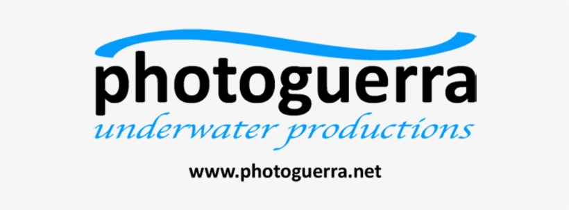 Photoguerra - Underwater Productions - Paradise, transparent png download