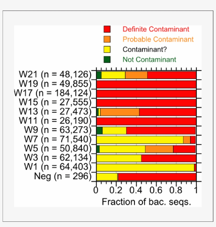 Summary Of 16s Rrna Gene Amplicon Sequences From The - Bacteria, transparent png download