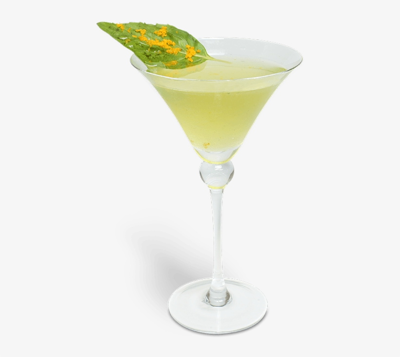 360 O - B - M - - Margarita Madness, transparent png download