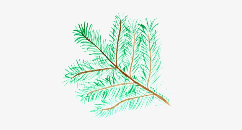 Watercolor Painting, transparent png download