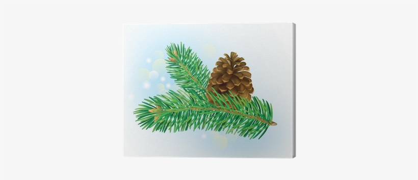 Branch Of Spruce With Pine Cone Canvas Print • Pixers® - Conifer Cone, transparent png download
